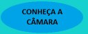 Conheça a Câmara.jpg