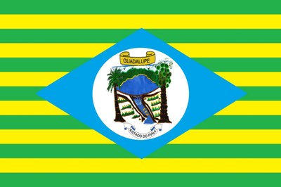 Bandeira de Guadalupe.jpg