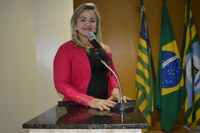 Vereadora Luciana Martins - PCdoB, afirma que substituição de meio fio na Avenida faz parte do projeto de asfaltamento