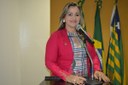 Vereadora Luciana Martins - PCdoB, apresenta ofícios solicitando poços artesianos para zona rural e Bairro Bela Vista