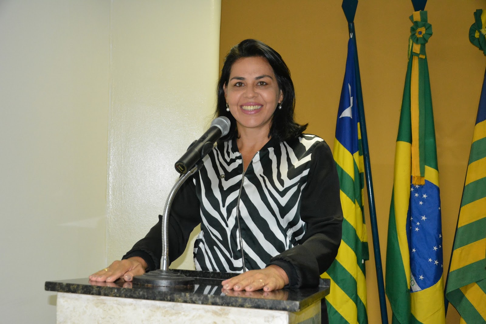 Vereadora Surama Martins (DEM) em tribuna diz que a Prefeita foi injusta com ela e inúmeras famílias