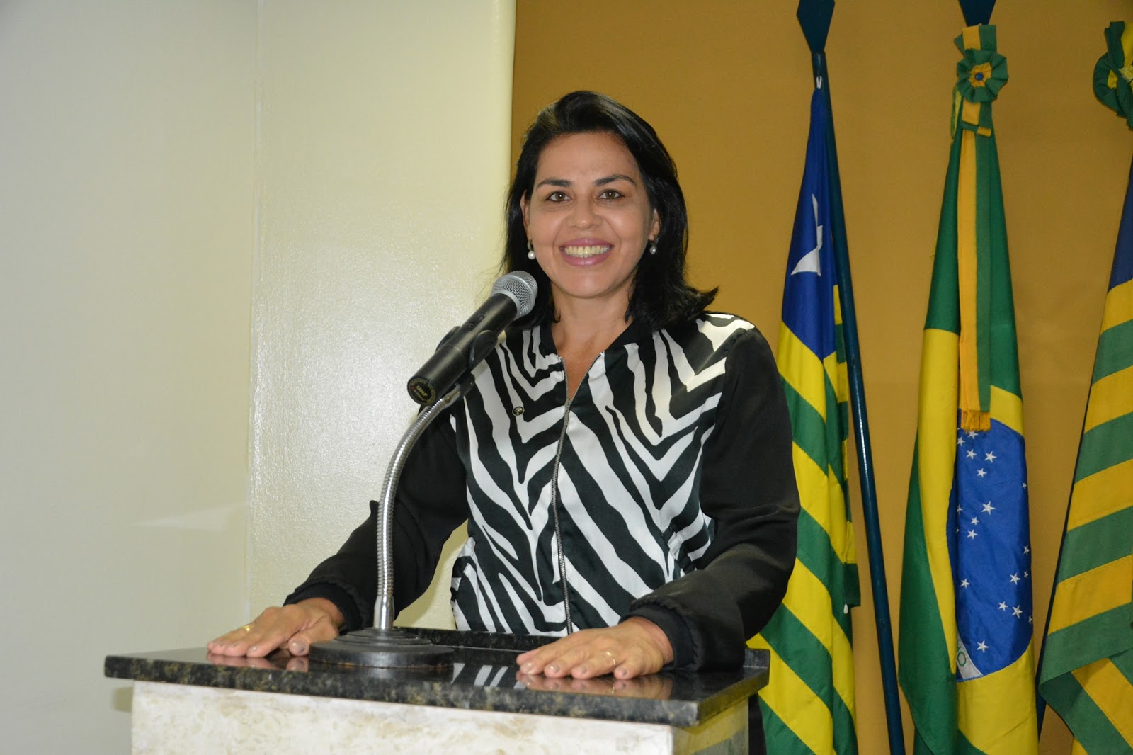 Vereadora Surama Martins (DEM) em tribuna diz que a Prefeita foi injusta com ela e inúmeras famílias